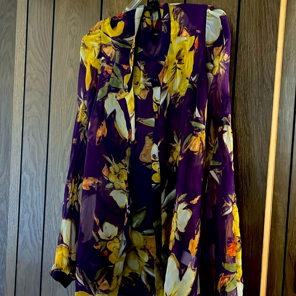 Colorful sheer button-down blouse